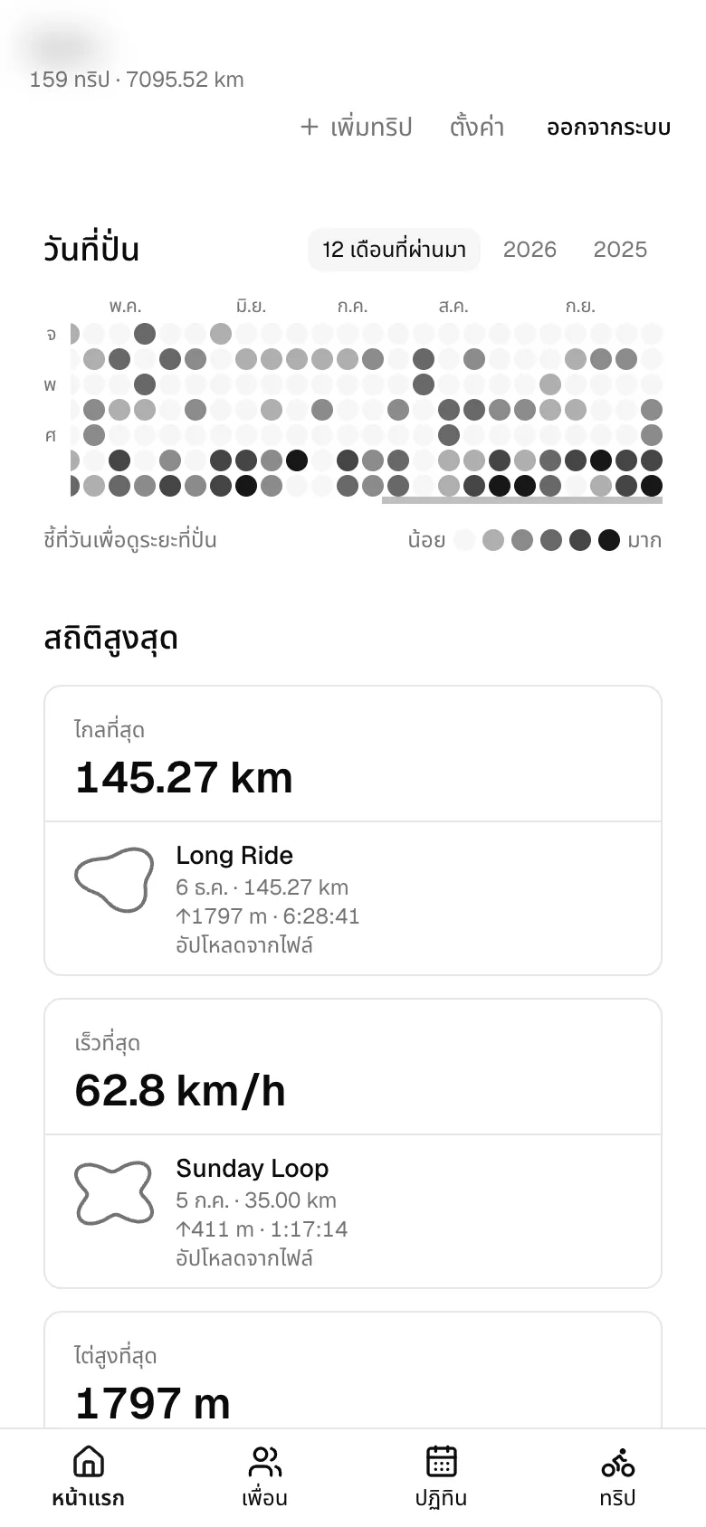 หน้า Home: heatmap ทั้งปีและสถิติสูงสุด